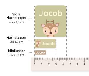 Størrelsesguide for navnelapper fra Askeladden – visning av Store Navnelapper (4,5 x 4,5 cm), vanlige Navnelapper (3 x 1,3 cm) og Minilapper (1,6 x 0,6 cm) ved siden av linjal.